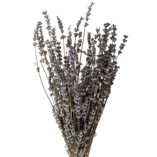 Flores secas perfumadas de lavanda 35-40cm 50g