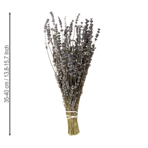 Itens Flores secas perfumadas de lavanda 35-40cm 50g