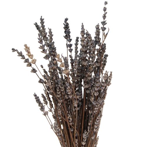 Itens Flores secas perfumadas secas de lavanda 35-40cm 50g