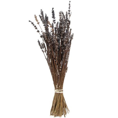 Itens Flores secas perfumadas secas de lavanda 35-40cm 50g