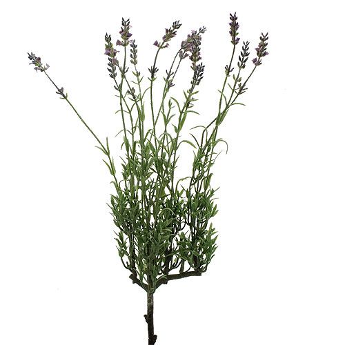 Floristik24 Lavanda artificial 53 cm
