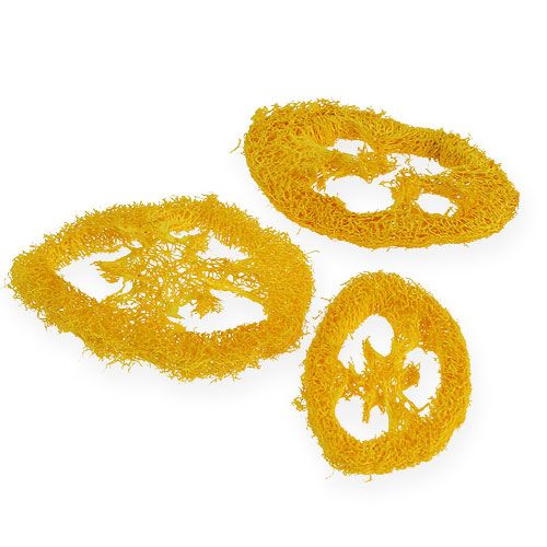 Floristik24 Discos Luffa amarelo 25pcs