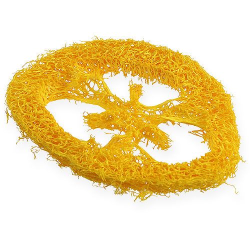 Floristik24 Discos Luffa amarelos 25 unid.