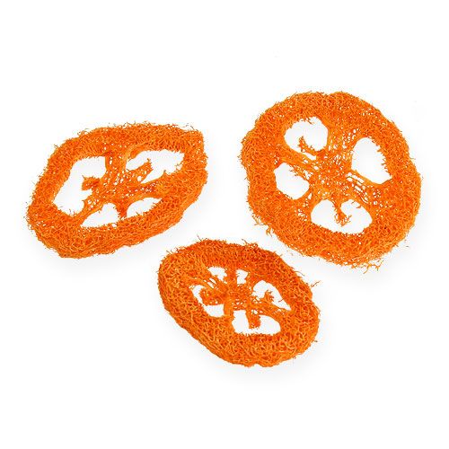 Floristik24 Luffa fatias de laranja 25 unidades