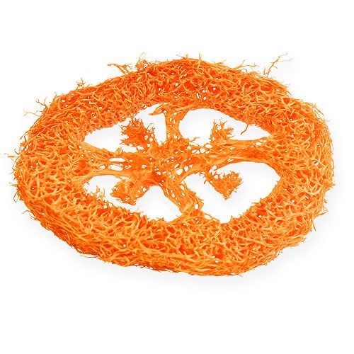 Itens Loofah Fatias Laranja 25pcs