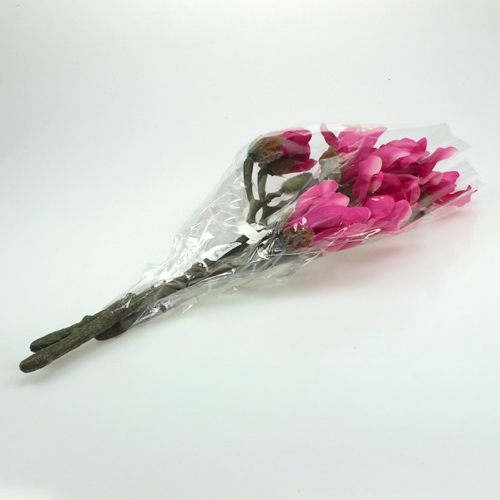 Floristik24 Ramo de magnólia 45cm 3pcs