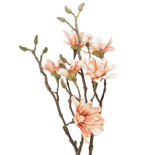 Floristik24 Ramo de magnólia com 6 flores Magnólia salmão artificial 84cm