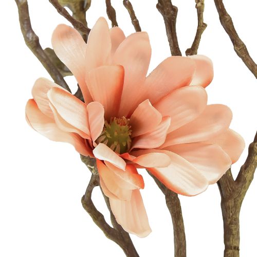 Floristik24 Ramo de magnólia com 6 flores Magnólia salmão artificial 84cm