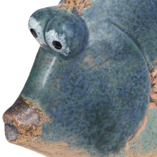 Itens Decoração marítima peixe decoração cerâmica azul sortida 19/17cm 2 un