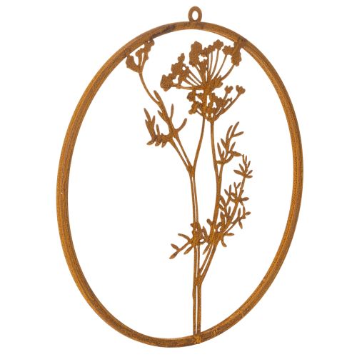 Anel de metal, metal enferrujado, anel decorativo, decoração de parede, raminho de endro, Ø38cm comprar | Floristik24.pt