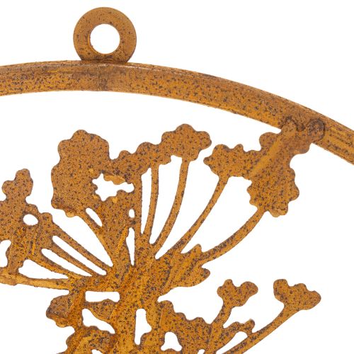 Anel de metal, metal enferrujado, anel decorativo, decoração de parede, raminho de endro, Ø38cm | Floristik24.pt