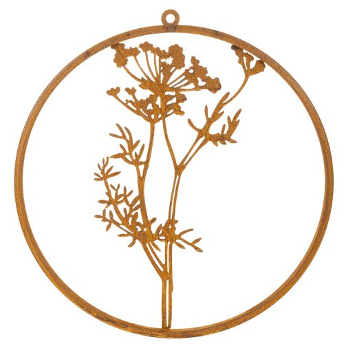 Anel de metal, metal enferrujado, anel decorativo, decoração de parede, raminho de endro, Ø38cm | Floristik24.pt