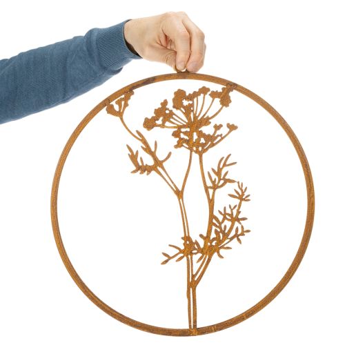Anel de metal, metal enferrujado, anel decorativo, decoração de parede, raminho de endro, Ø38cm | Floristik24.pt