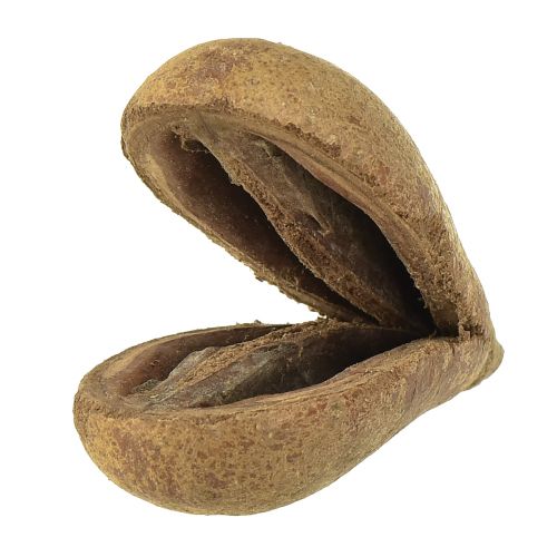 Floristik24 Mike Fruit Materiais Naturais Bagon Fruit Natural 8cm 50 un