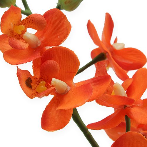 Floristik24 Mini orquídea Real Touch Orange 35cm