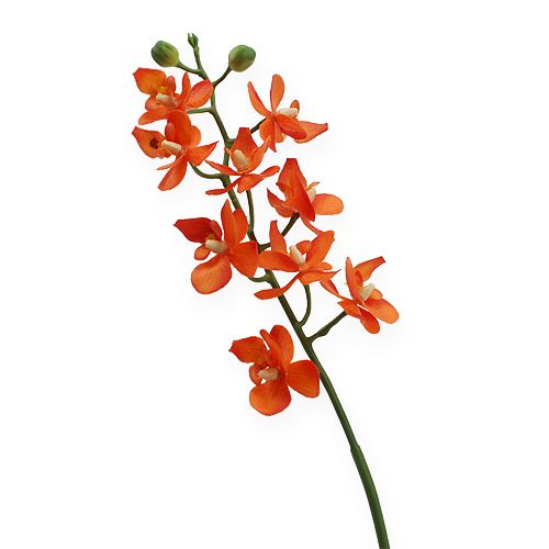 Floristik24 Mini orquídea Real Touch Orange 35cm