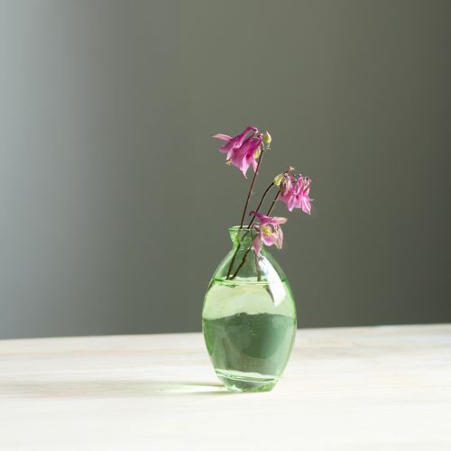 Mini vasos de vidro bulbosos vasos de vidro verde matizado H12cm 6 peças