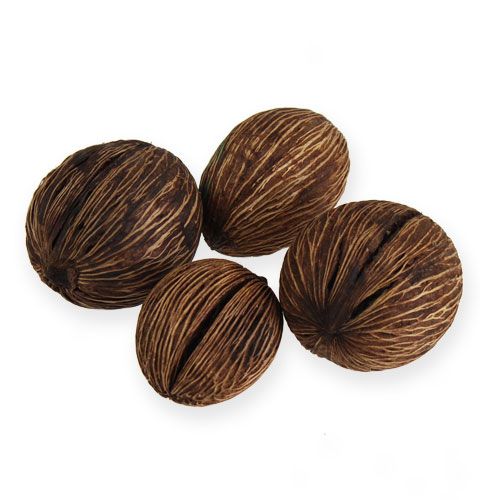 Bola Mintolla Natural Sortido 15pcs