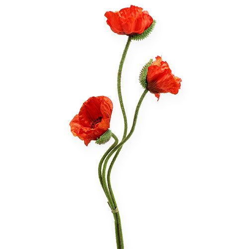 Floristik24 Flor artificial de papoula laranja 75 cm 3 unidades