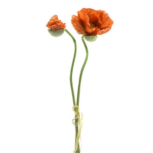 Laranja papoula 67 cm 2pcs