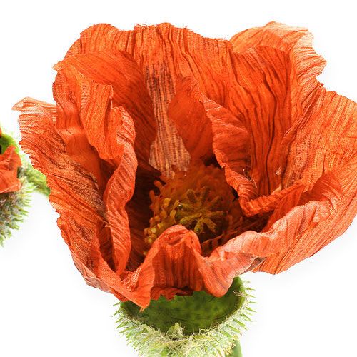 Floristik24 Laranja papoula 67 cm 2pcs