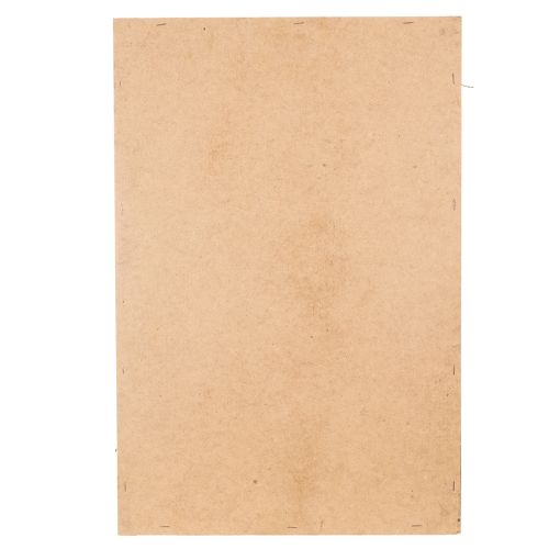 Itens Quadro de musgo, musgo e galhos preservados, naturais, 60×40cm