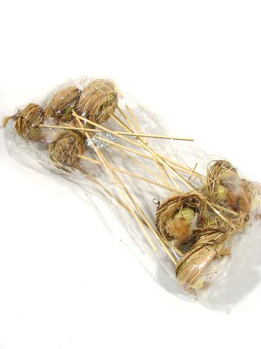Floristik24 Ninho de pássaro com ovos em uma vara 6cm 6pcs