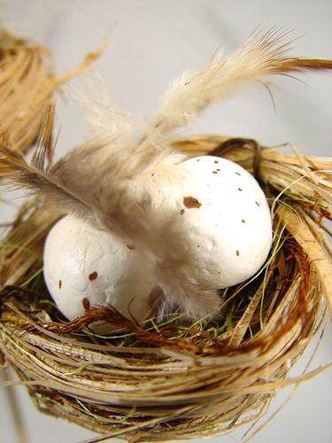 Floristik24 Ninho de pássaro com ovos em uma vara 6cm 6pcs