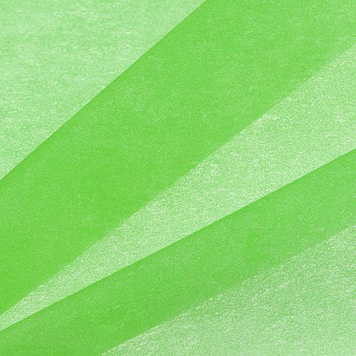 Floristik24 Velo decorativo 60cm x 20m verde