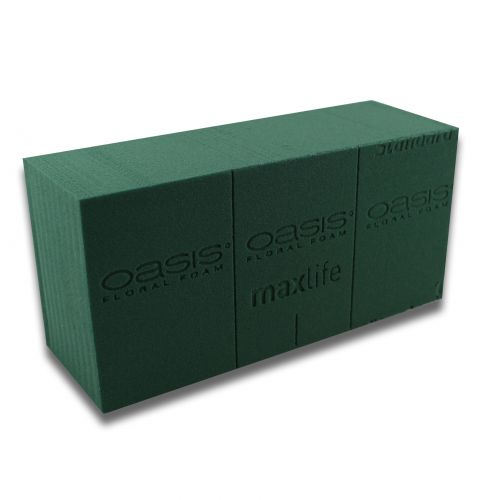 Floristik24 OASIS® plug-in musgo maxlife padrão 20 tijolos