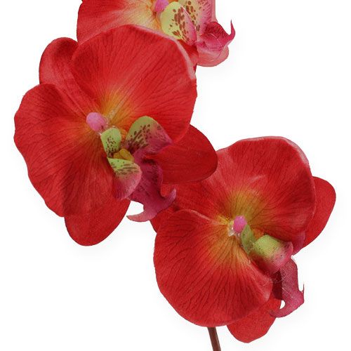 Itens Deco orquídea vermelha 68cm