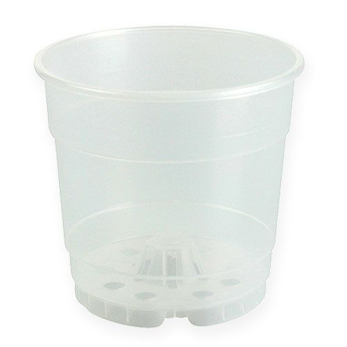 Floristik24 Vaso para orquídeas transparente Ø15cm 10 unidades