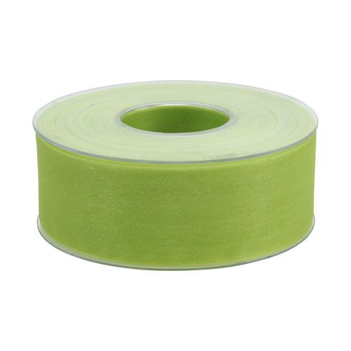 Floristik24 Fita de organza com ourela 4cm 50m verde claro