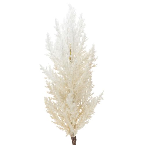 Floristik24 Capim-dos-pampas branco, grama artificial seca, plantas artificiais