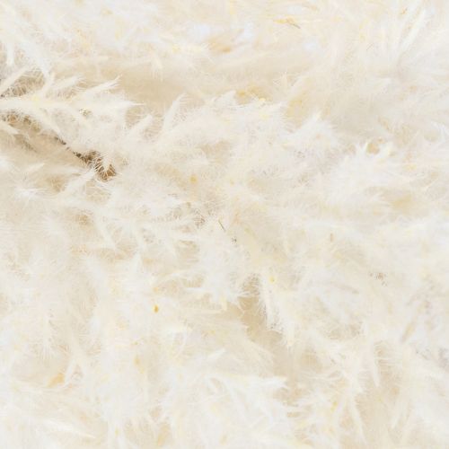 Itens Capim-dos-pampas branco, grama artificial seca, plantas artificiais