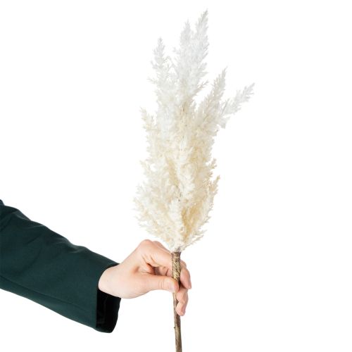 Itens Capim-dos-pampas branco, grama artificial seca, plantas artificiais