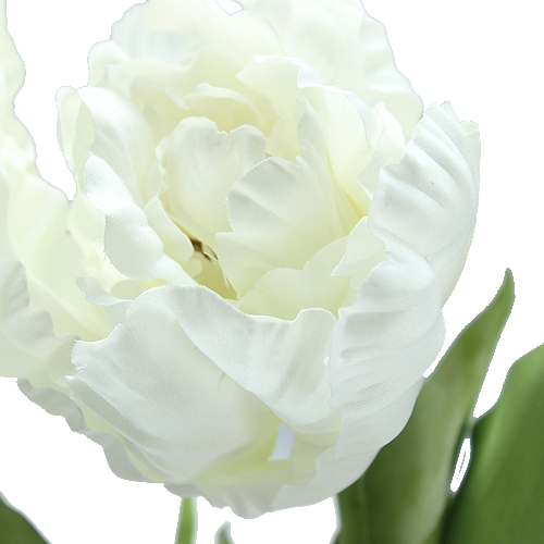 Floristik24 Tulipas decorativas brancas 73 cm 3 unidades