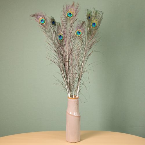 Itens Decoração de penas de pavão, penas de pássaros reais, comprimento 75-85 cm, 8 peças