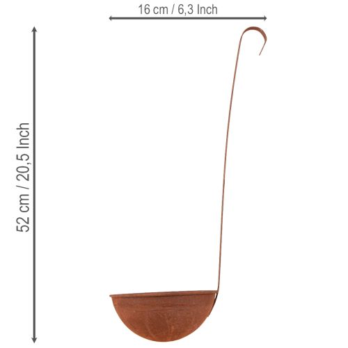 Itens Vaso suspenso, decoração de cozinha, concha, acabamento rústico, Ø16,5cm, 2 peças