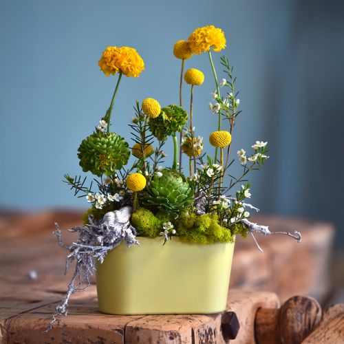 Itens Vaso decorativo oval amarelo para plantas, plástico, 20×10×11cm, 3 unidades