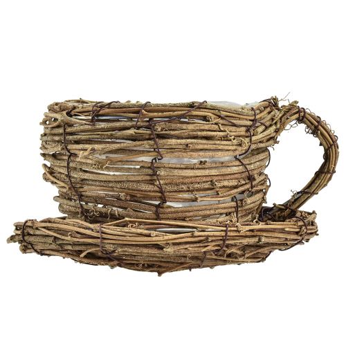 Itens Copo para plantas com prato vaso para plantas videira natural Ø19cm Alt.9cm