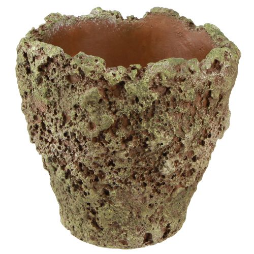 Vaso para plantas rústico aspecto de musgo Ø17cm Alt.16,5cm 4 unidades