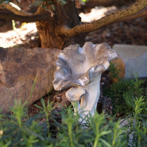 Floristik24 Decoração de cogumelo em pedra fundida, figura de jardim, cinza, 18×16×25cm