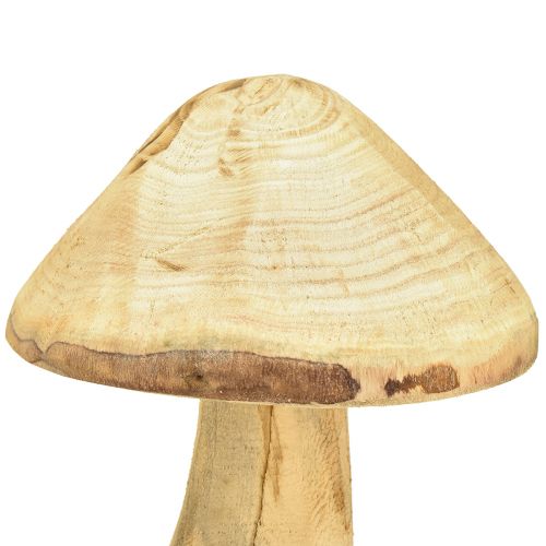 Floristik24 Cogumelo decorativo natural feito de madeira de olmo cogumelo de madeira 27cm