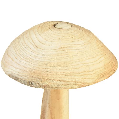 Floristik24 Escultura de cogumelo em madeira de olmo natural - Design rústico, 37 cm - Jardim elegante e decoração de interiores