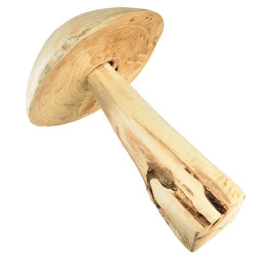 Floristik24 Escultura de cogumelo em madeira de olmo natural - Design rústico, 37 cm - Jardim elegante e decoração de interiores