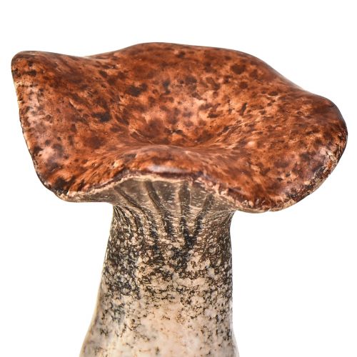 Itens Figuras decorativas de cogumelo inspiradas na natureza - vários tons de marrom, 6,4 cm - detalhes encantadores para jardim e casa Pacote de 3