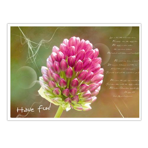 Itens Cartões postais com classificação de motivos florais. 4 PCS