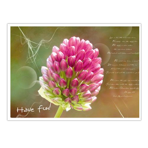 Floristik24 Cartões postais com classificação de motivos florais. 4 PCS