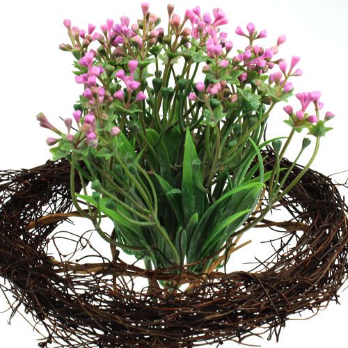 Floristik24 Punhos de videira Ø20cm 10 un